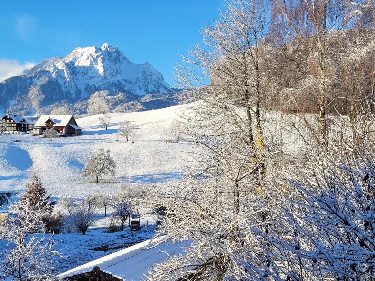 Guest house Castagna Lucerne